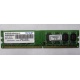 Модуль оперативной памяти 4Gb DDR2 Patriot PSD24G8002 pc-6400 (800MHz)  (Томилино)