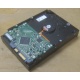 Жесткий диск HP 250Gb 7200 rpm 432337-001/ 399699-001 / 397377-004 (Томилино)