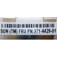 Серверная память SUN (FRU PN 371-4429-01) 4096Mb (4Gb) DDR3 ECC в Томилино, память для сервера SUN FRU P/N 371-4429-01 (Томилино)