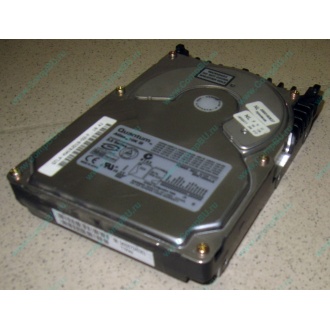 Жесткий диск 18.4Gb Quantum Atlas 10K III U160 SCSI (Томилино)