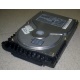 Жесткий диск 18.4Gb Quantum Atlas 10K III U160 SCSI (Томилино)