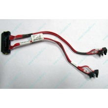 SATA-кабель для корзины HDD HP 451782-001 459190-001 для HP ML310 G5 (Томилино)