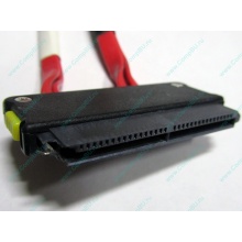 SATA-кабель для корзины HDD HP 451782-001 459190-001 для HP ML310 G5 (Томилино)