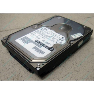 Жесткий диск 18.2Gb IBM Ultrastar DDYS-T18350 Ultra3 SCSI (Томилино)