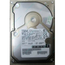Жесткий диск 18.2Gb IBM Ultrastar DDYS-T18350 Ultra3 SCSI (Томилино)