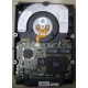 Жесткий диск 18.2Gb IBM Ultrastar DDYS-T18350 Ultra3 SCSI (Томилино)