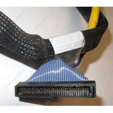 Кабель SCSI HP 166298-037 для HP ML370 G4 (Томилино)