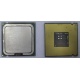 Процессор Intel Celeron D 336 (2.8GHz /256kb /533MHz) SL98W s.775 (Томилино)