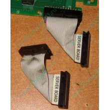 6017B0045701 Шлейф 24 pin для Intel C74974-401 T0043401-B01 корпуса SR2400 (Томилино)