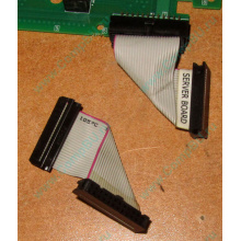 6017B0045701 Шлейф 24 pin для Intel C74974-401 T0043401-B01 корпуса SR2400 (Томилино)