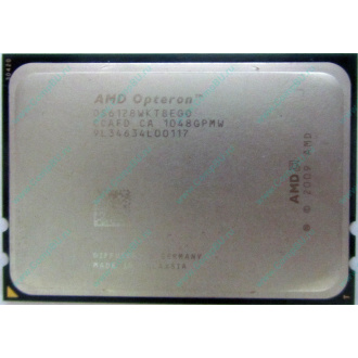 AMD Opteron 6128 OS6128WKT8EGO (Томилино)
